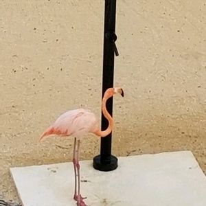 Meet your Posher, Valynn